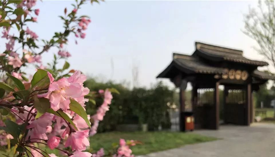 姹傚鐢熸棩娲惧甯冪疆,姹傚鍛婄櫧鐢熸棩娲惧甯冪疆