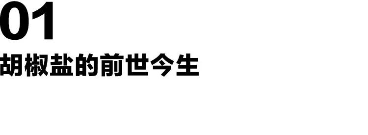 让全球复古迷都疯狂的“胡椒盐”，被我们做成了帆布鞋！
