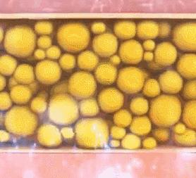 滋养修复并且能美白的沐浴露,既能洗澡又能洗脸的沐浴露