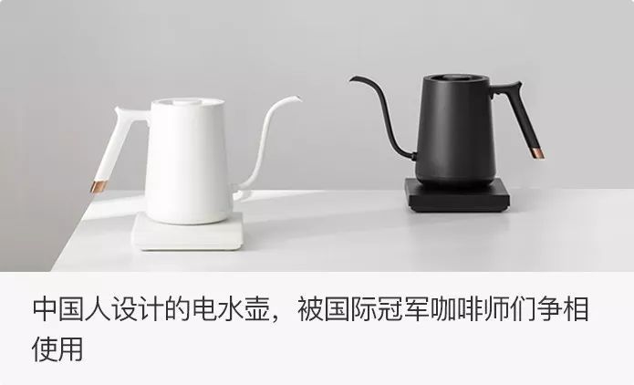 堪称一绝的野生动物画,世界动物画谱