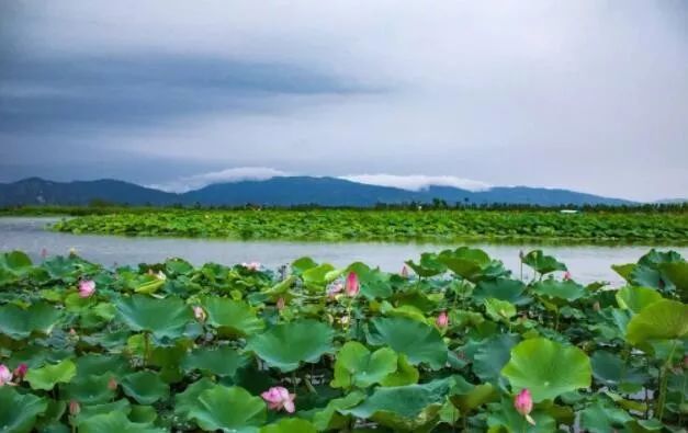 连云港市旅游景点开放通知,江苏连云港景区免费开放通知