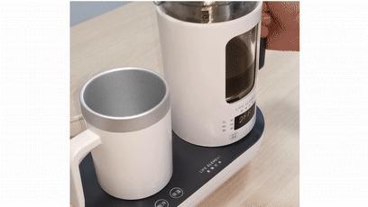 能冰鲜的泡茶壶？！夏天有了它，冰饮料、热养生茶全搞定了！