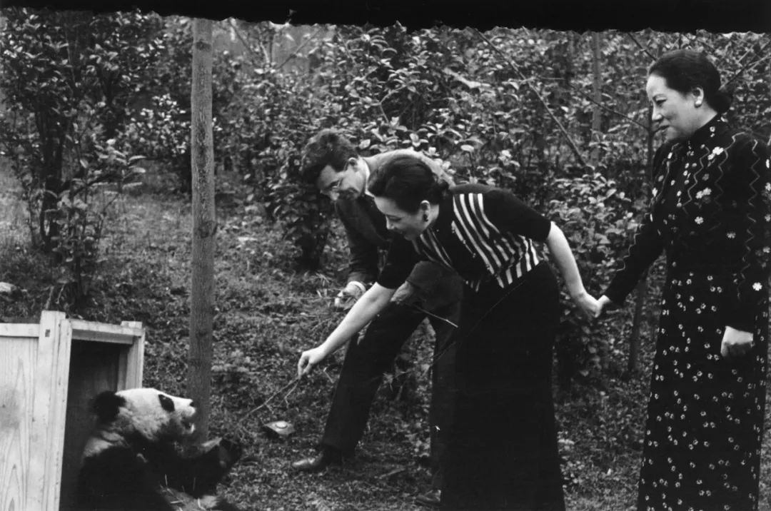 你才可爱你全家都可爱出处,你才可爱你全家都可爱怎么回