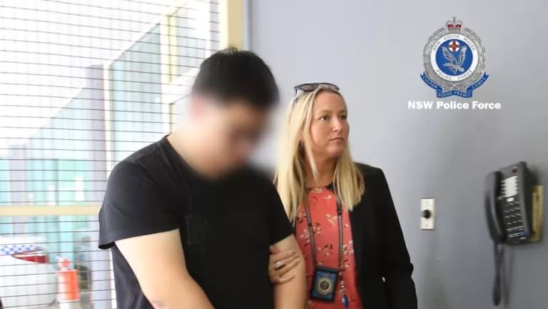 女代购被捕,中国代购扫光奶粉事件