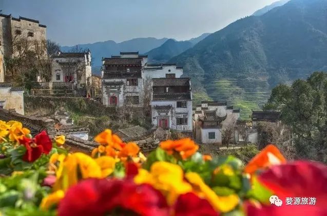 【五一·爽心游江西】婺源最全旅游攻略已为您备好，快来婺源“嗨”翻天！