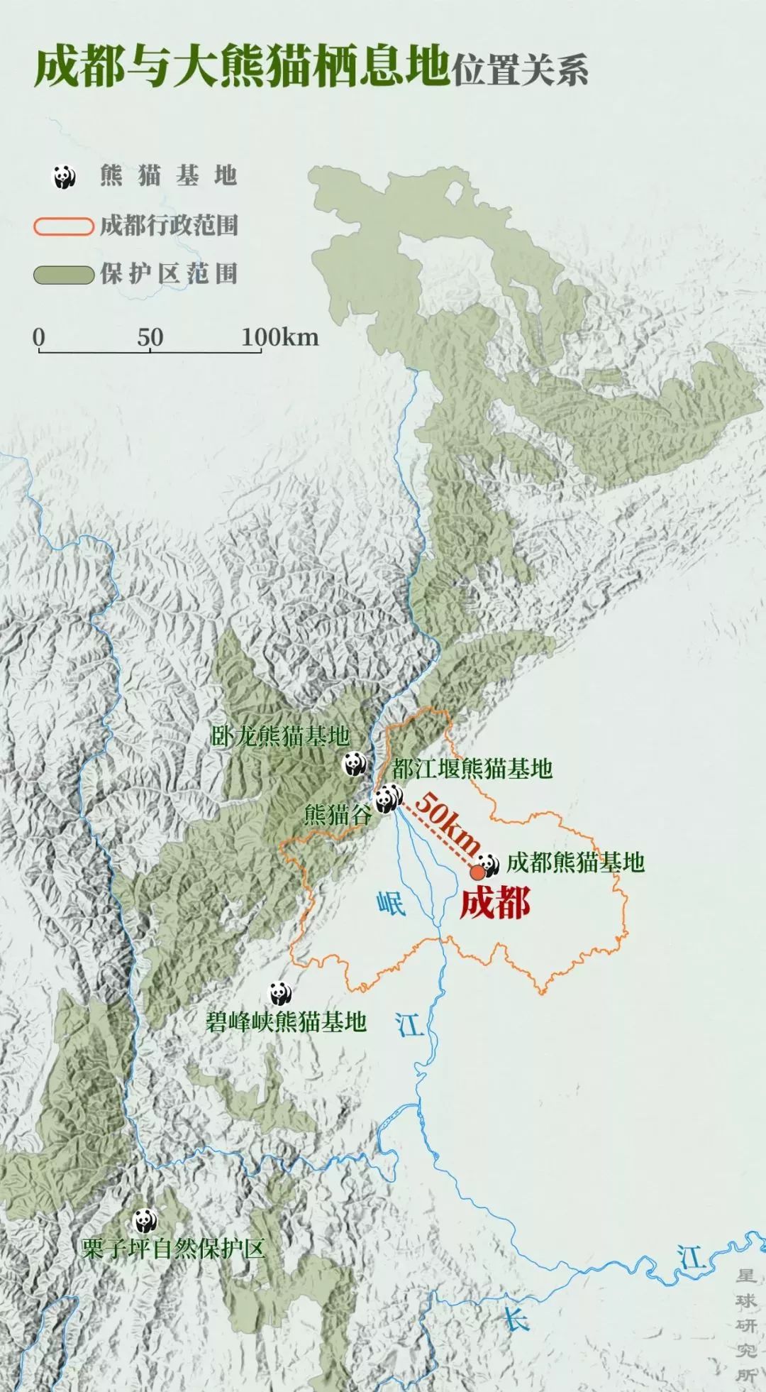 【荐读】熊猫:萌啥子哟,我是要雄起!