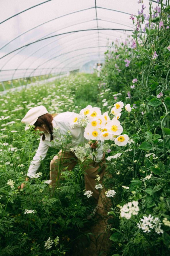 北京最美花店在哪里,北京哪个花店最美丽又好看