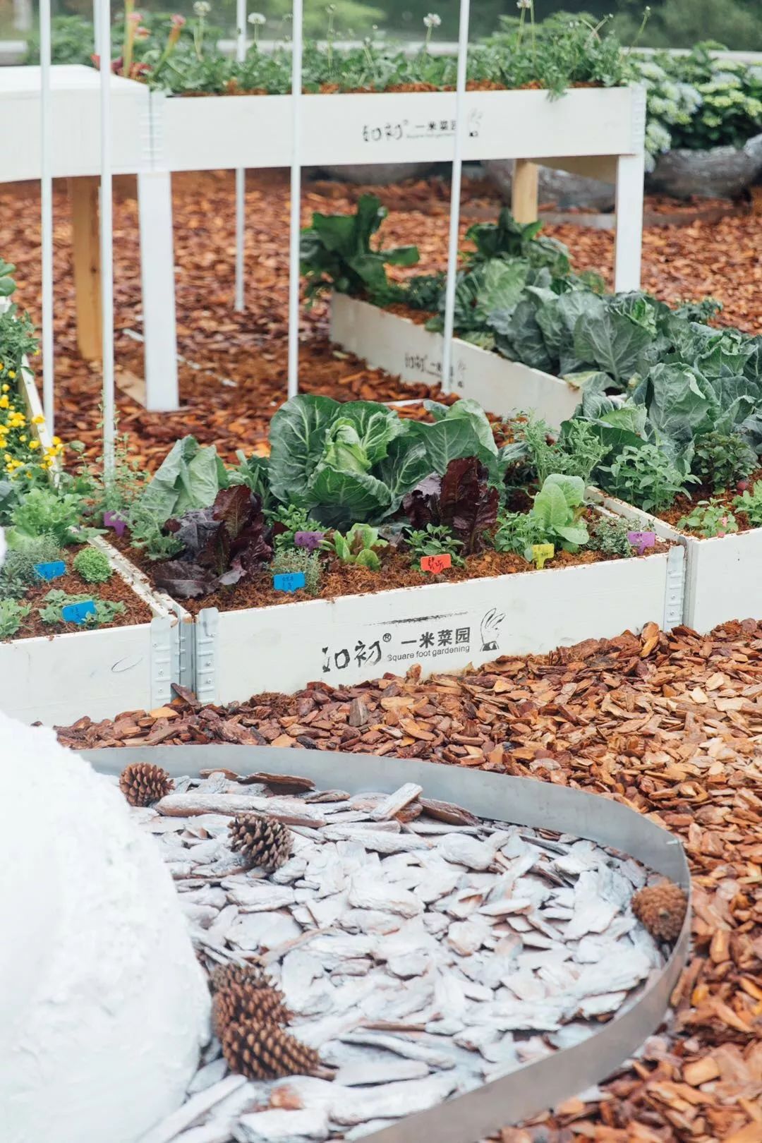 北京最美花店在哪里,北京哪个花店最美丽又好看