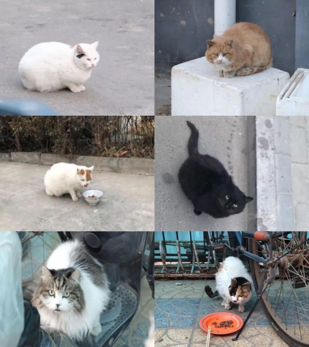 月末还剩十块钱?亲亲,小薇有份二外省钱攻略,请查收!