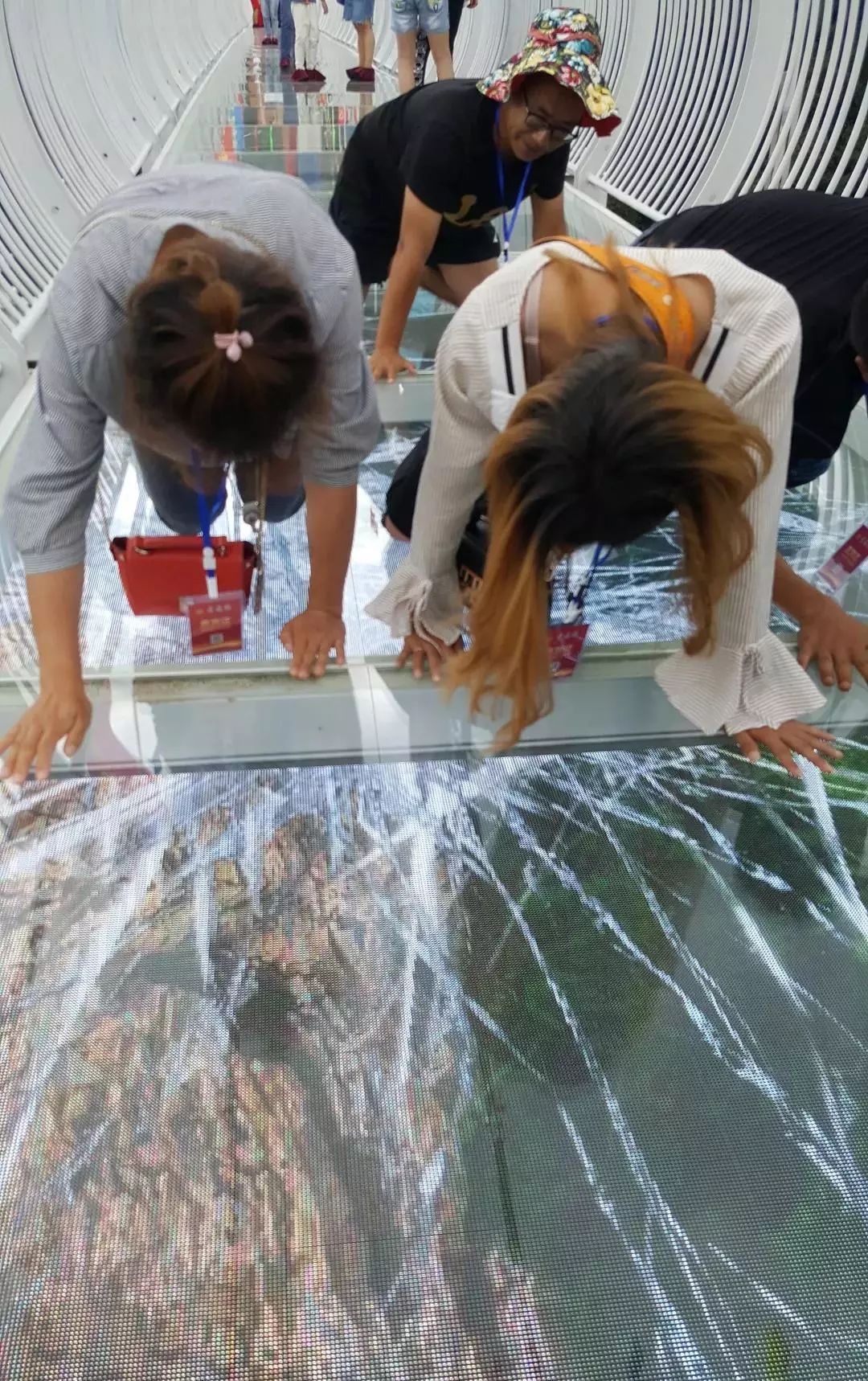 【潮玩】走啊，一起出去“浪里个浪儿~~~”