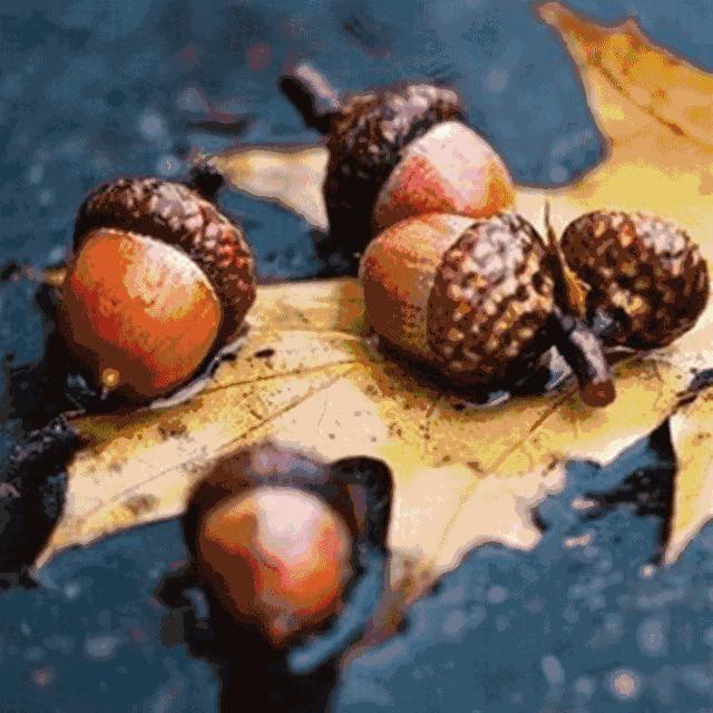 许飞夏天的味道,夏天的味道歌曲