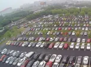 去处｜你真的知道怎么玩转上海野生动物园吗？最全指南在这里！