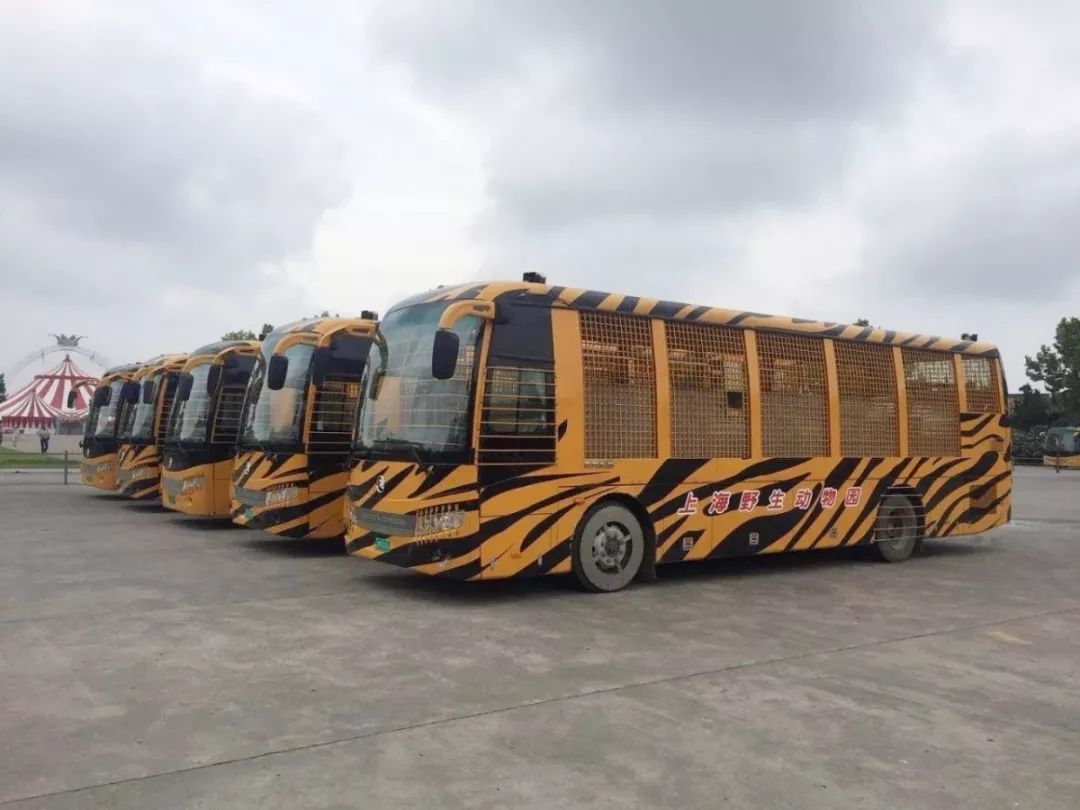 上海野生动物园游览攻略,上海野生动物园的旅游路线示意图