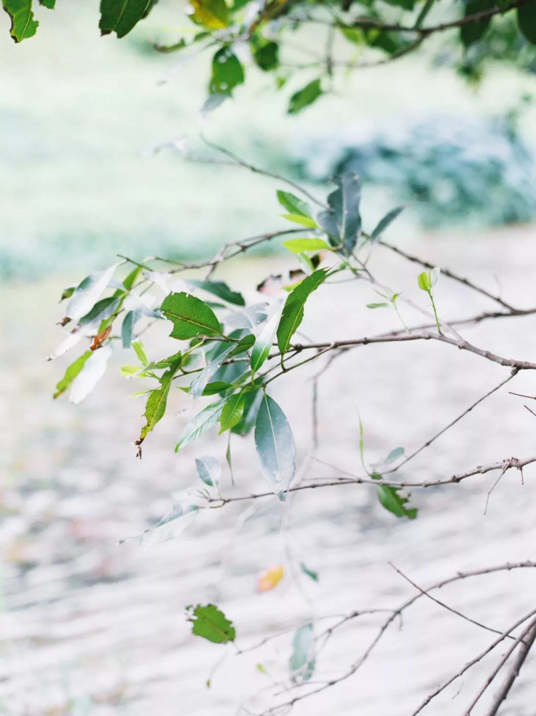 深圳推荐拍照地,深圳这10个拍照圣地人少景美