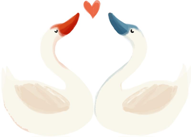 关于HPV病毒，这些知识你该看一看啦