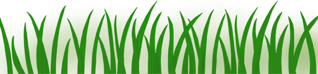 逆转夺冠震撼瞬间,武汉卓尔2:2绝平梅县铁汉