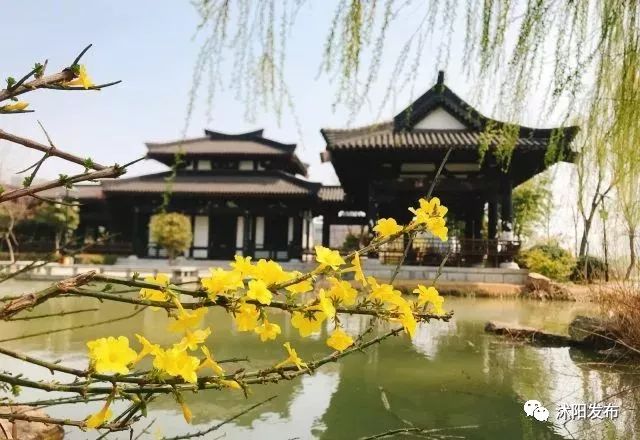 江苏沭阳春日旅游攻略图,沭阳旅游攻略自由行