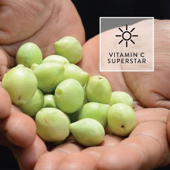 澳洲十大必买精华,新西兰眼部精华价格