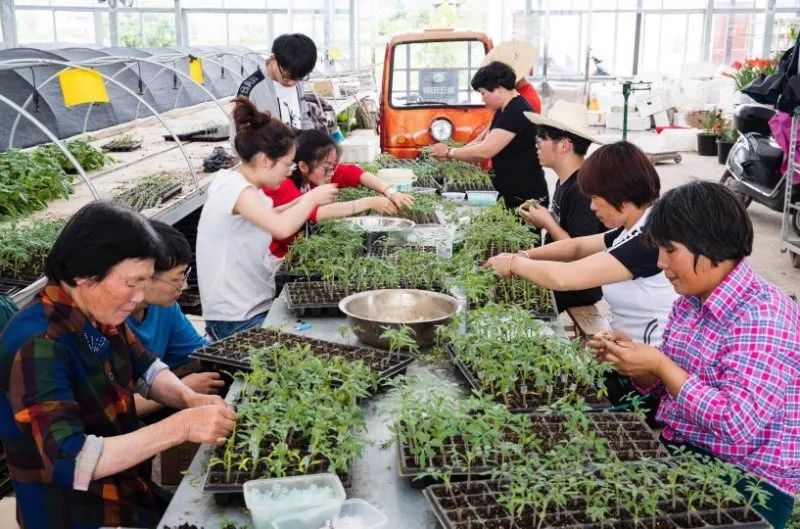 向劳动模范们致敬,向全国所有的劳动模范致敬