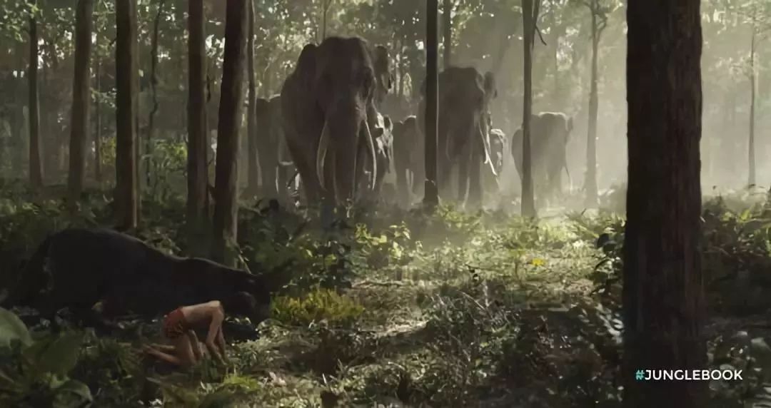 泰国防蚊子药膏,泰国蚊子叮的药膏