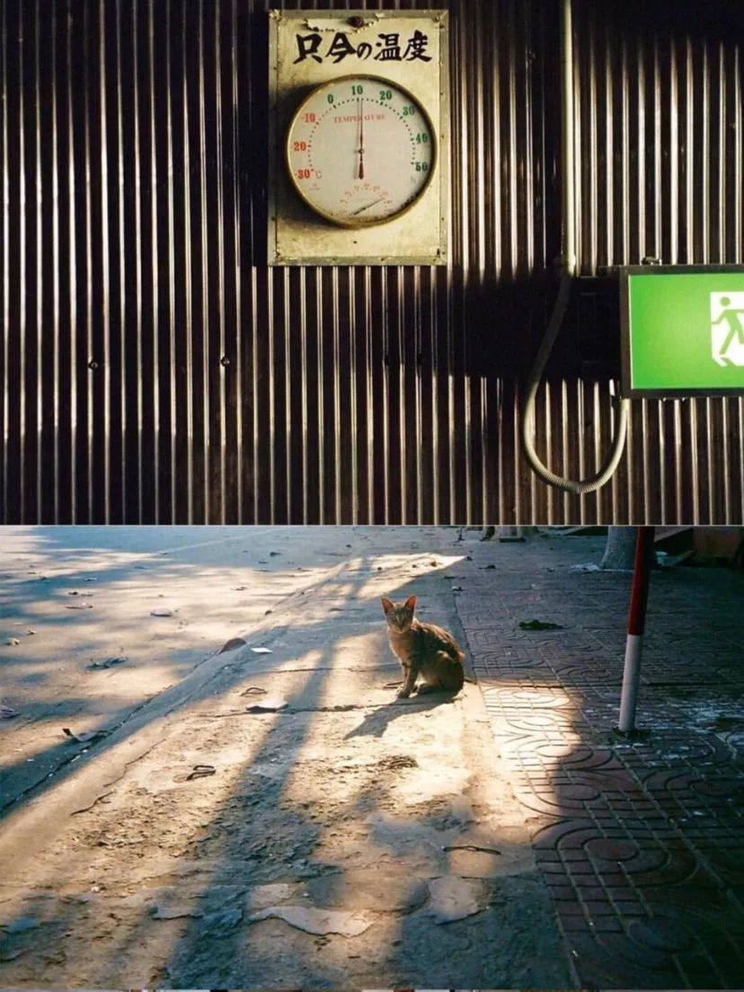 入坑胶片你真的需要一台胶片机吗,为什么不推荐新手买胶片机