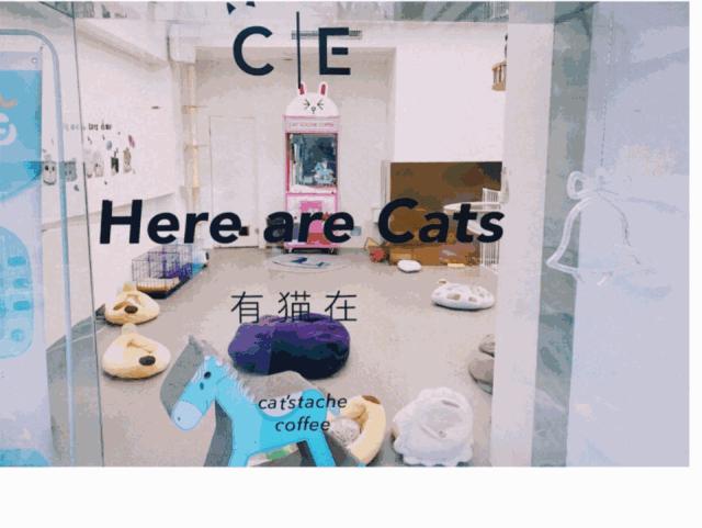 来成都享受美景美食，顺便挼（ruá）个猫可好？