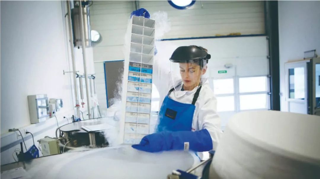 脐带血是否值得花钱保存？