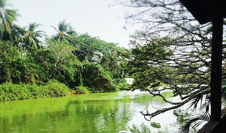 亚庇攻略三天两晚,亚庇选岛攻略