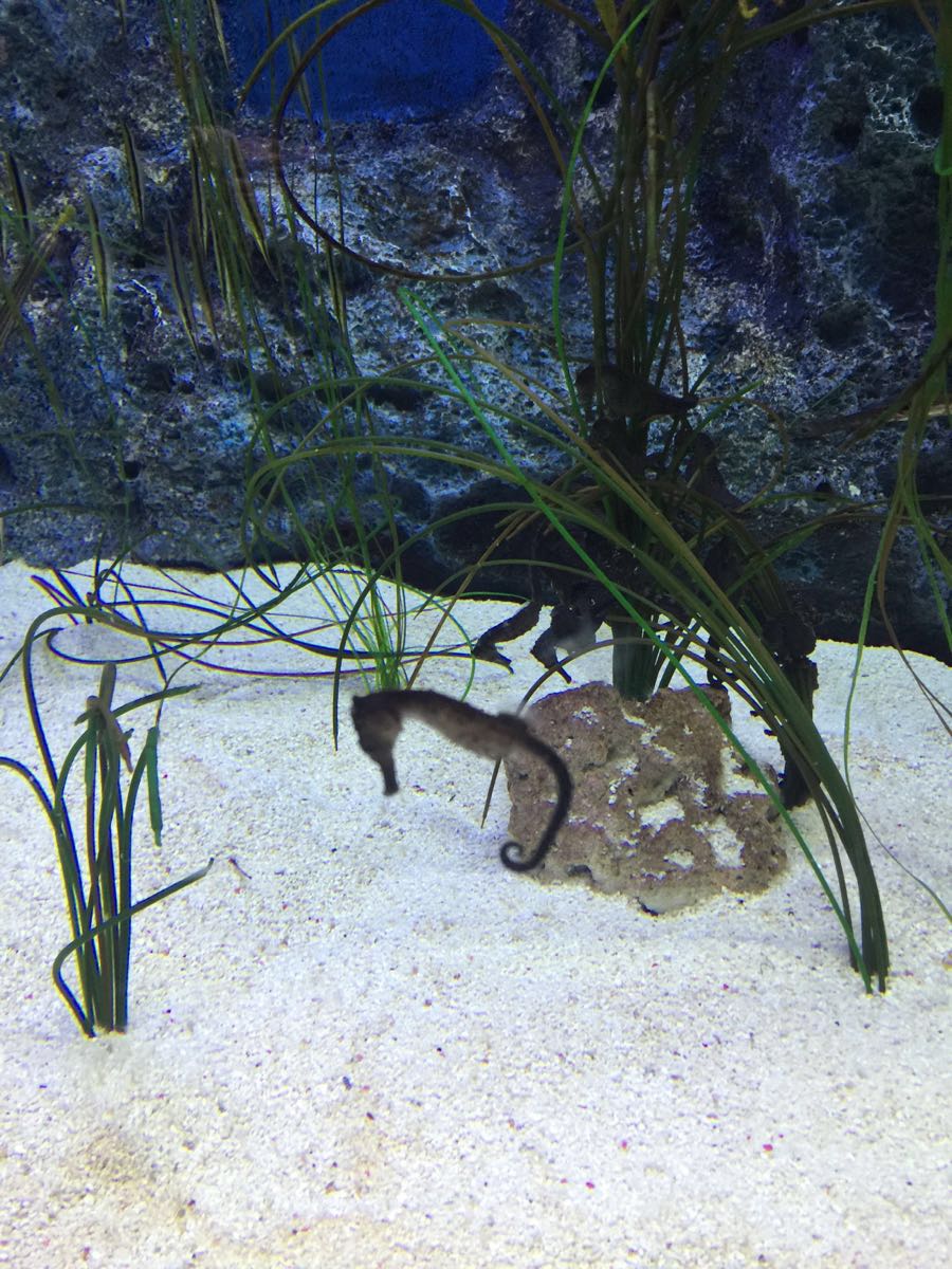 韩国首尔旅游花销,在韩国首尔花销大吗