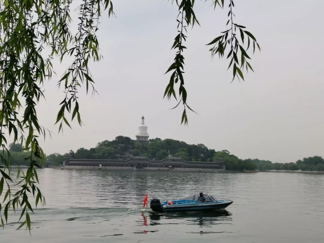 新西兰幼教移民,新西兰幼教留学移民容易吗