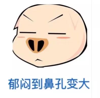 闲聊多肉大军四川“兵团”川南支队养肉记！