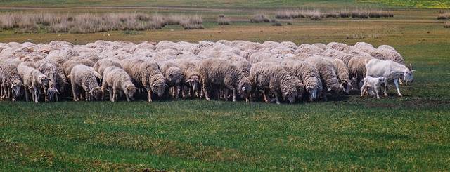 十月呼伦贝尔草原旅游攻略,自由行呼伦贝尔草原攻略