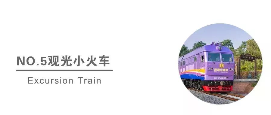 西港花园一日游攻略,西港花园冬季攻略