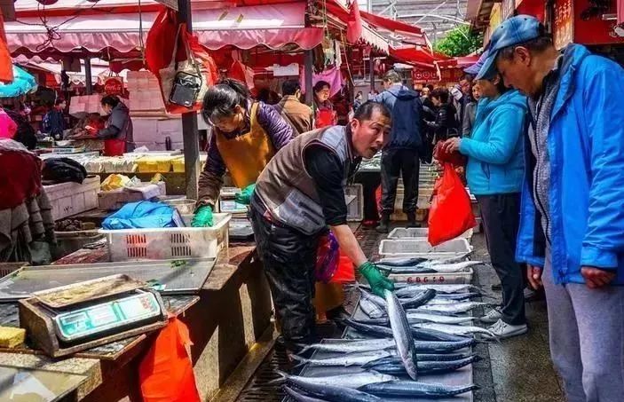 @秦皇岛人休渔期没海鲜?别担心,还有这些新鲜海货可以吃!