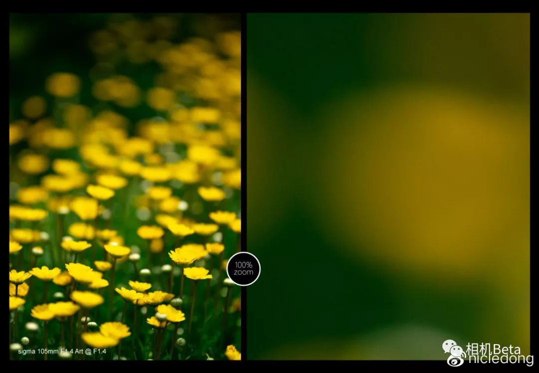 适马105mmf1.4是什么镜头,适马105mmf1.4art都有什么卡口