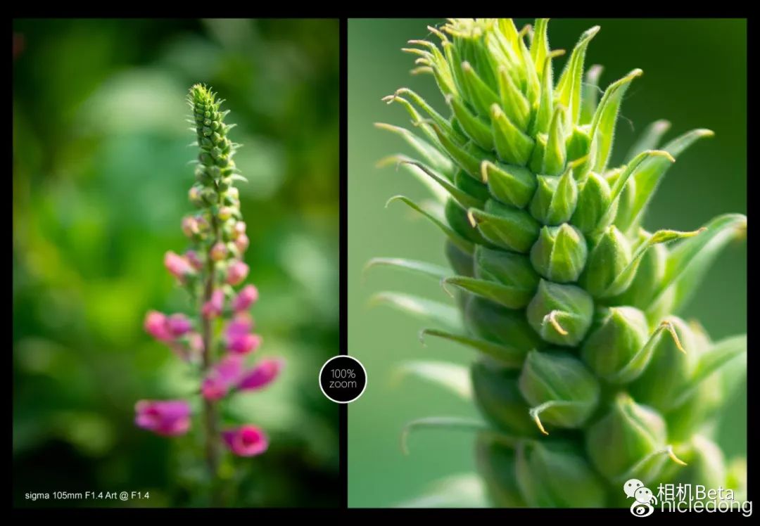 适马105mmf1.4是什么镜头,适马105mmf1.4art都有什么卡口