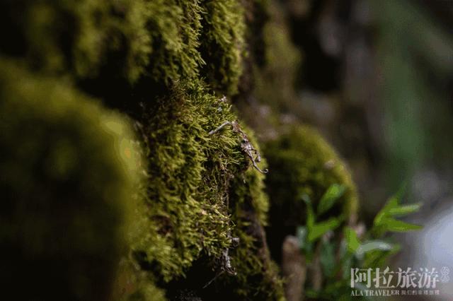 宁波室外十大网红游乐项目,宁波休闲打卡地