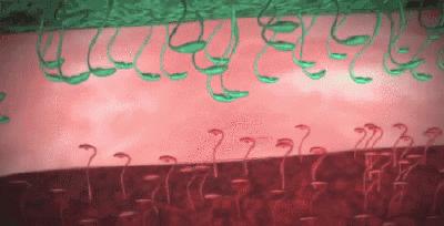 感觉嘴里有股肠胃的臭味,肠胃有一股腐臭味怎么回事