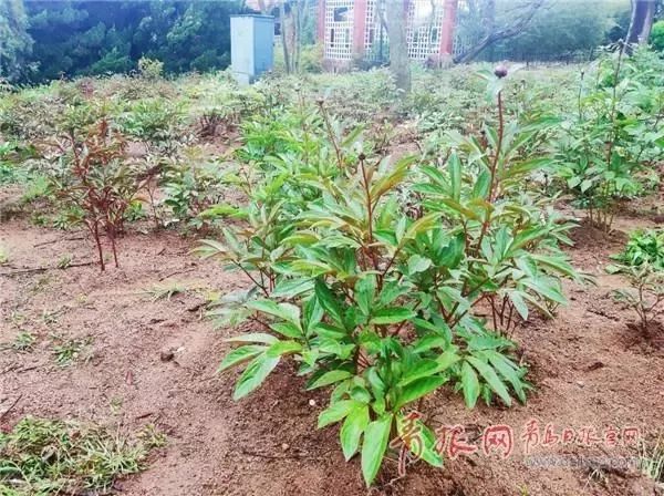 闈掑矝缁濈編鐎戝竷,闈掑矝绱壊鐎戝竷