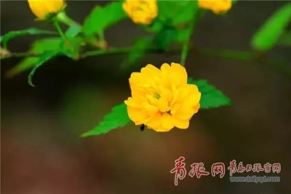 闈掑矝缁濈編鐎戝竷,闈掑矝绱壊鐎戝竷