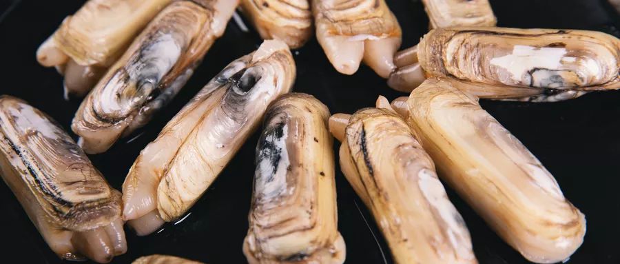 皮皮虾等8种海鲜，今天起金华禁售！别担心，还有这些初夏小美好→