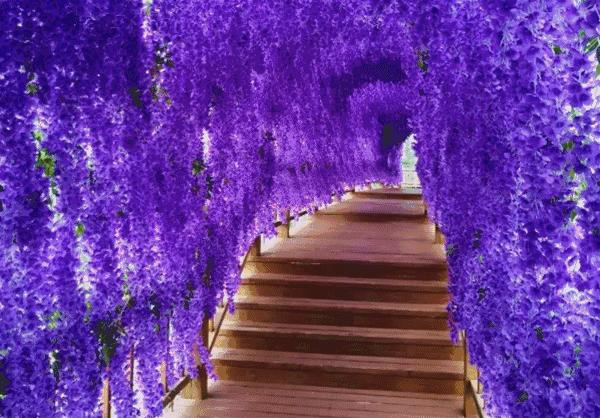 5.1延边旅游景区,延边旅游景点春节期间