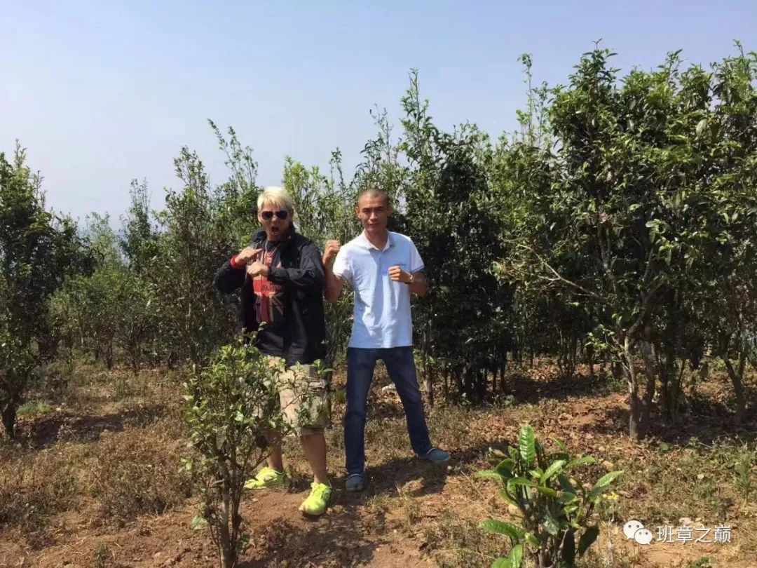 品一杯香茗赏千古美文,品一杯香茗感受诗和远方