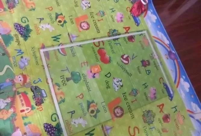 1.5米生态缸的用料及造景,1.2米的缸适合做什么缸