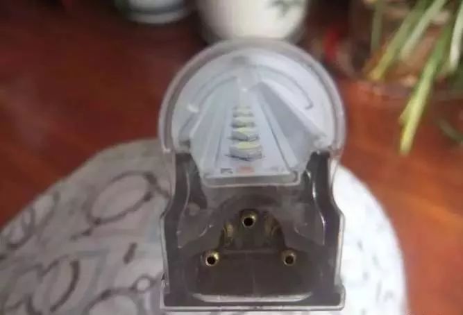 1.5米生态缸的用料及造景,1.2米的缸适合做什么缸