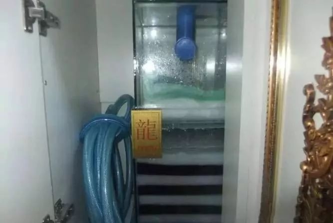 1.5米生态缸的用料及造景,1.2米的缸适合做什么缸