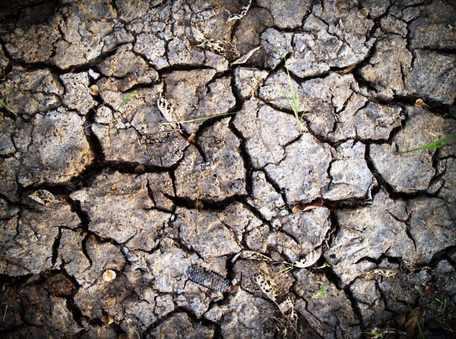 拿什么拯救你的自己,拿什么拯救你歌曲