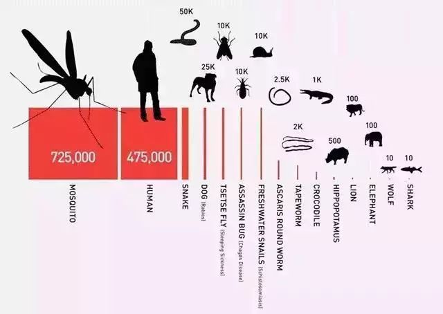 日本蚊子驱蚊神器,夏天灭蚊必备好物