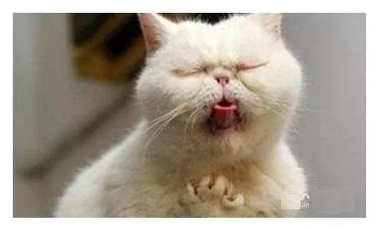 知名品牌饮料喝出异物,名牌果汁茶有大量霉菌