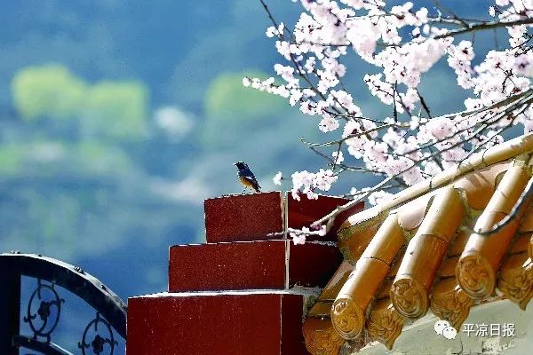 崆峒山最美视频,崆峒山有名的景点有哪些